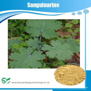 Versorgung Bester Preis Macleaya Cordata P.e. Sanguinarin